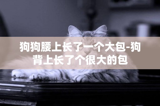 狗狗腰上長了一個大包-狗背上長了個很大的包