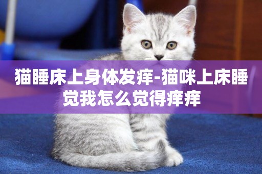 貓睡床上身體發癢-貓咪上床睡覺我怎么覺得癢癢