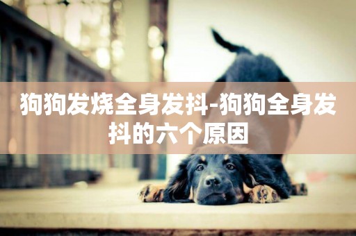 狗狗發燒全身發抖-狗狗全身發抖的六個原因
