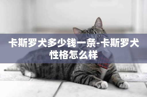 卡斯羅犬多少錢一條-卡斯羅犬性格怎么樣