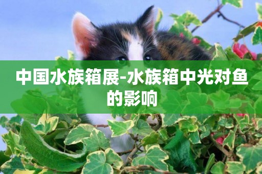 中國水族箱展-水族箱中光對魚的影響