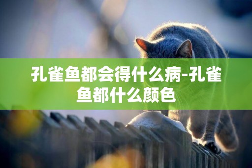 孔雀魚都會得什么病-孔雀魚都什么顏色