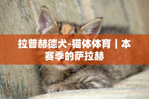 拉普赫德犬-貓體體育｜本賽季的薩拉赫