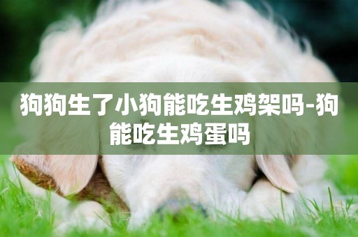 狗狗生了小狗能吃生雞架嗎-狗能吃生雞蛋嗎