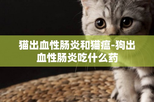 貓出血性腸炎和貓瘟-狗出血性腸炎吃什么藥