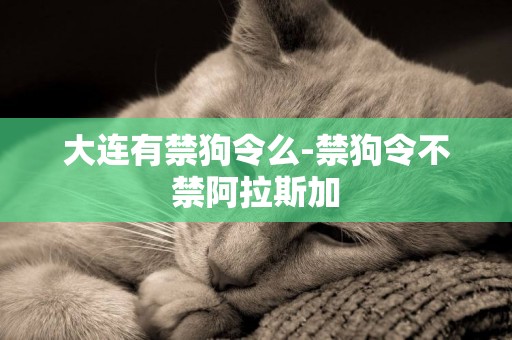 大連有禁狗令么-禁狗令不禁阿拉斯加