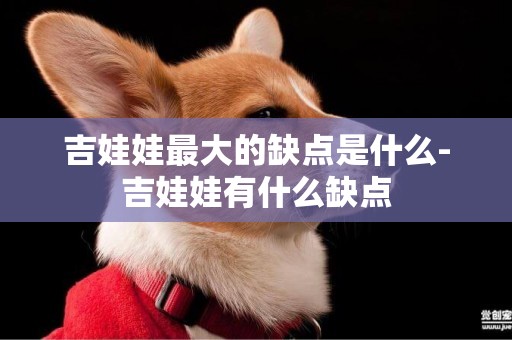 吉娃娃最大的缺點是什么-吉娃娃有什么缺點