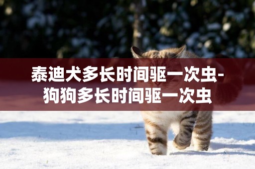 泰迪犬多長時間驅一次蟲-狗狗多長時間驅一次蟲