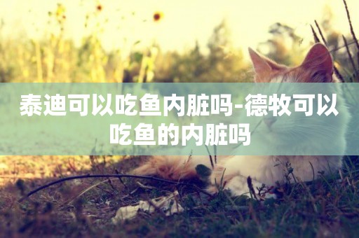 泰迪可以吃魚內臟嗎-德牧可以吃魚的內臟嗎