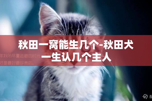 秋田一窩能生幾個-秋田犬一生認幾個主人