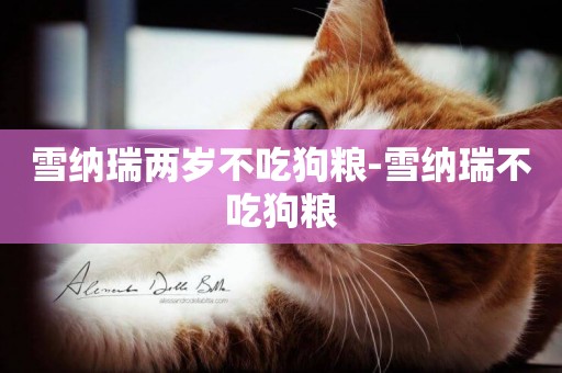 雪納瑞兩歲不吃狗糧-雪納瑞不吃狗糧