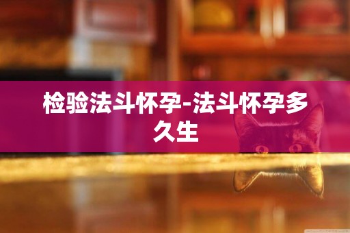 檢驗法斗懷孕-法斗懷孕多久生