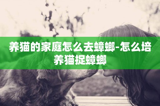 養貓的家庭怎么去蟑螂-怎么培養貓捉蟑螂