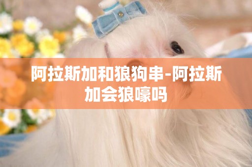 阿拉斯加和狼狗串-阿拉斯加會狼嚎嗎