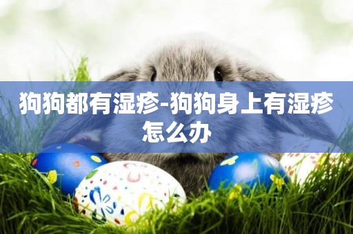 狗狗都有濕疹-狗狗身上有濕疹怎么辦