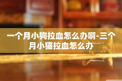 一個月小狗拉血怎么辦啊-三個月小貓拉血怎么辦