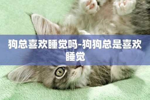 狗總喜歡睡覺嗎-狗狗總是喜歡睡覺