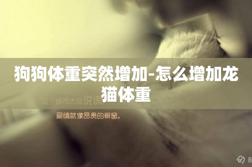 狗狗體重突然增加-怎么增加龍貓體重