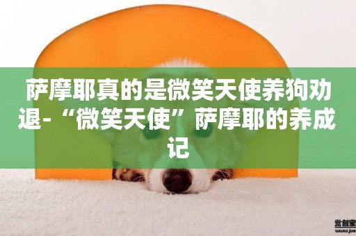薩摩耶真的是微笑天使養狗勸退-“微笑天使”薩摩耶的養成記
