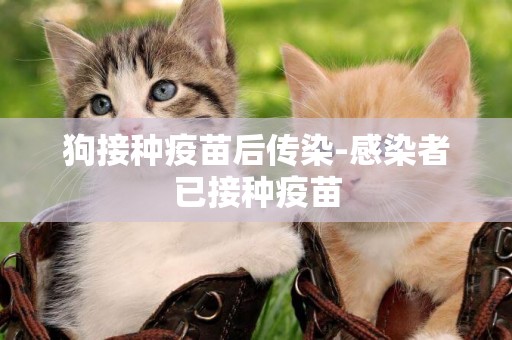 狗接種疫苗后傳染-感染者已接種疫苗