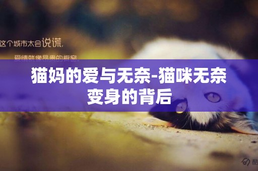 貓媽的愛與無奈-貓咪無奈變身的背后