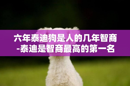 六年泰迪狗是人的幾年智商-泰迪是智商最高的第一名狗種
