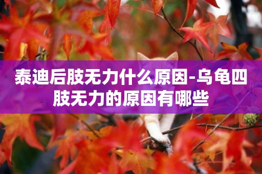 泰迪后肢無力什么原因-烏龜四肢無力的原因有哪些