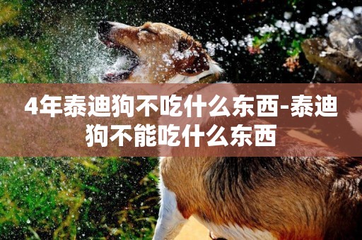 4年泰迪狗不吃什么東西-泰迪狗不能吃什么東西
