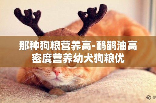 那種狗糧營養高-鴯鹋油高密度營養幼犬狗糧優