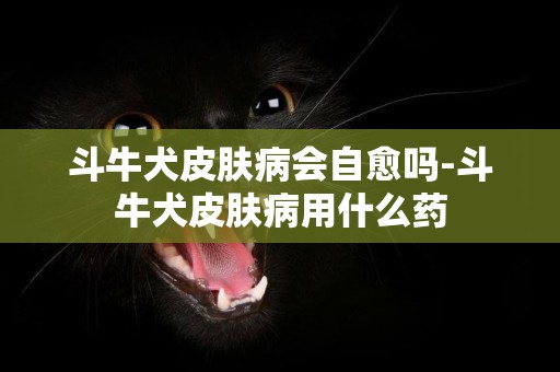 斗牛犬皮膚病會自愈嗎-斗牛犬皮膚病用什么藥