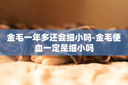 金毛一年多還會細小嗎-金毛便血一定是細小嗎