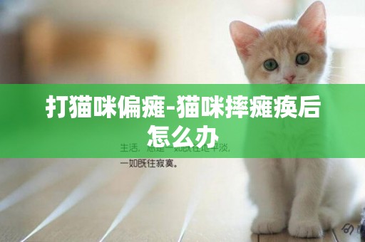 打貓咪偏癱-貓咪摔癱瘓后怎么辦