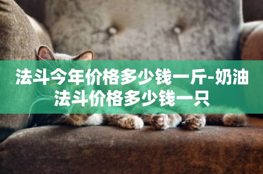 法斗今年價格多少錢一斤-奶油法斗價格多少錢一只