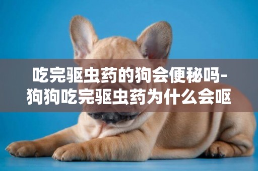 吃完驅蟲藥的狗會便秘嗎-狗狗吃完驅蟲藥為什么會嘔吐