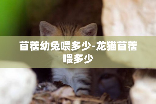 苜蓿幼兔喂多少-龍貓苜蓿喂多少