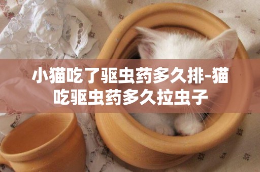 小貓吃了驅蟲藥多久排-貓吃驅蟲藥多久拉蟲子