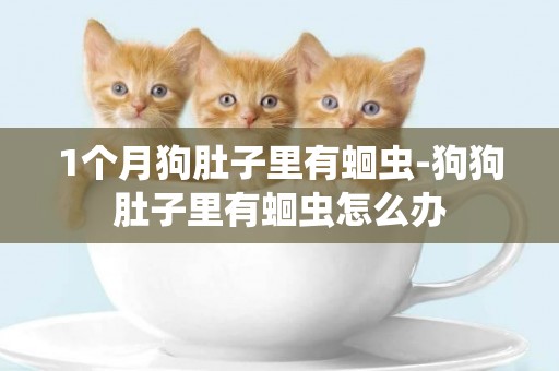 1個月狗肚子里有蛔蟲-狗狗肚子里有蛔蟲怎么辦