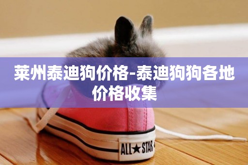 萊州泰迪狗價格-泰迪狗狗各地價格收集