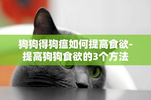 狗狗得狗瘟如何提高食欲-提高狗狗食欲的3個方法