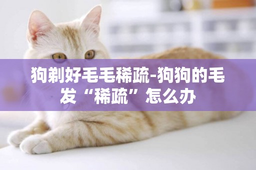 狗剃好毛毛稀疏-狗狗的毛發“稀疏”怎么辦