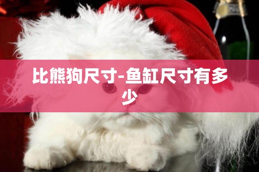 比熊狗尺寸-魚缸尺寸有多少