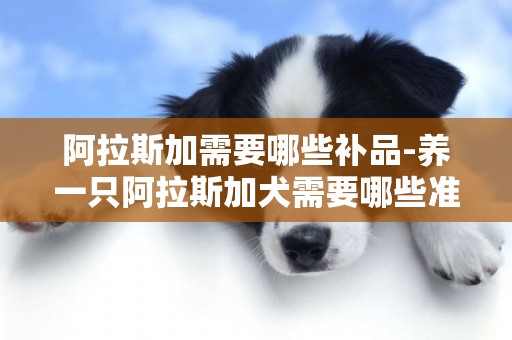 阿拉斯加需要哪些補品-養一只阿拉斯加犬需要哪些準備工作