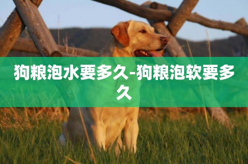 狗糧泡水要多久-狗糧泡軟要多久