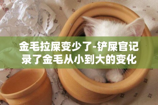 金毛拉屎變少了-鏟屎官記錄了金毛從小到大的變化