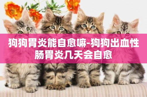 狗狗胃炎能自愈嘛-狗狗出血性腸胃炎幾天會自愈