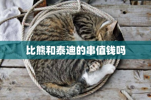 比熊和泰迪的串值錢嗎