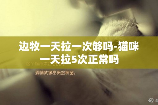 邊牧一天拉一次夠嗎-貓咪一天拉5次正常嗎