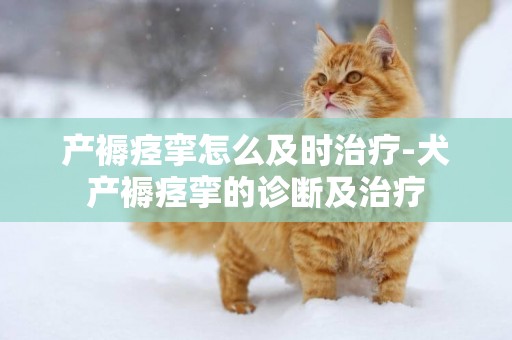 產褥痙攣怎么及時治療-犬產褥痙攣的診斷及治療