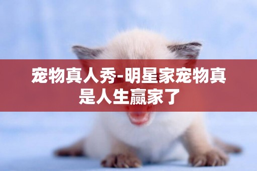 寵物真人秀-明星家寵物真是人生贏家了