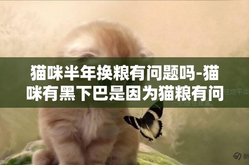 貓咪半年換糧有問題嗎-貓咪有黑下巴是因為貓糧有問題